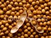 Soybean