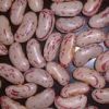 Light Speckled Kidney ...