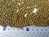 Mung beans, green and yellow peas, chickpeas from Argentina