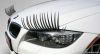 2pcs=1pair charming automotive cars sticker car eye lashes high qualit