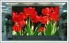 SMD0805 Indoor Full Color LED Display