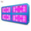 1000W 2000W 3000W Full Spectrum  LED Grow Lamps For Indoor Plants Flowering And Growing