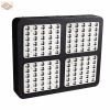 600W 900W 1200W LED Panel Grow Light