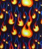 swimwear fabric