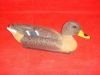 Garden duck, Plastic d...
