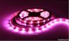 LED Strip light 3528-12V-60LED pink 5m/reel