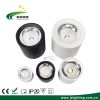 Hotel Shopping Mall High Quality 10W 2.5 Inch LED Surface Mounted Downlight