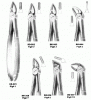 Extracting Forceps(Eng...
