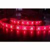 Non-waterproof IP33 White Flexible LED Strip with SMD 3528 LEDs, 12V Input Voltage, 300-piece LEDs/
