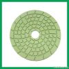 Polishing Pad