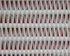 Chinese Made polyester spiral dryer fabric mesh