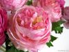 Wholesale Ranunculus Stem artificial flower decoration wedding