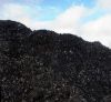 steam coal suppliers,s...