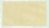 Birch Plywood