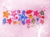 Sell 2010 New design B...