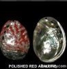 Polished Red Abalone