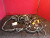 Used Harley Davidson Main Wiring Harness