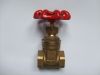 gate valve