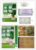 Reduce Weight Fruta Planta Slimming Capsules, Wholesale Price