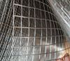 Welded Wire Mesh