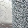 Hexagonal Wire Netting