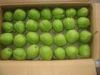 fresh su pear