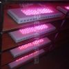 600W LED Grow Lights