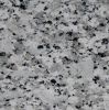 Wholesales G430 Bala Flower Granite Slabs