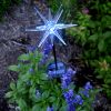 solar garden light- star strip