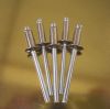 Stainless Steel Blind Rivets