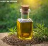 Cumin Seed Oil | Pure ...