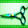 Hair Scissors