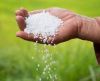 UREA- Fertilizer