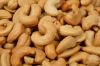 W240 Cashew Nuts Suppl...