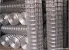 Welded Wire Mesh