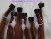 Hair Extension (Grade A)