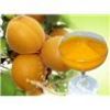 sell apricot puree30-32%