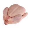Grade A Halal Frozen Whole Chicken / Feet / Paws / Drumsticks