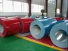 Pre-painted Galvanized Steel Coils (HDG)