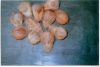coconuts