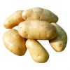 Potato, Cabbage, Cauli...