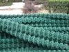 PVC Coated Chain Link ...