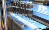 DHP-25P/350P Pre-filled syringe Blister Packing Machine