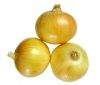 Yellow onion