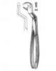 Dental Forceps for Wis...