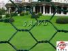 Chicken Wire Mesh for farm