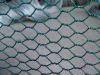 hot dipped galvanized chicken wire netting