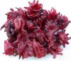 Dry Hibiscus Flower