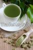 100% Pure Green Coffee Beans Extract