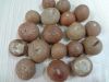Betel Nuts with High Quality and Best Price